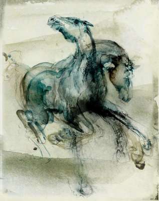 Bewgungsstudie Pferd 03